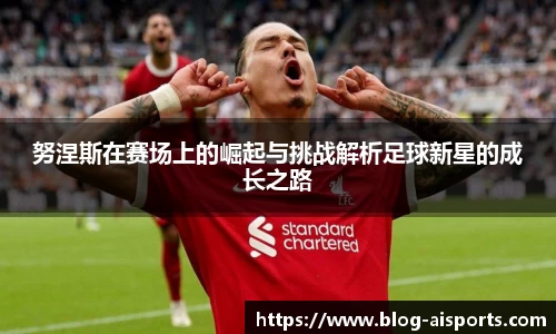 努涅斯在赛场上的崛起与挑战解析足球新星的成长之路